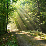 Awaken Retreat at Mystic Avenue