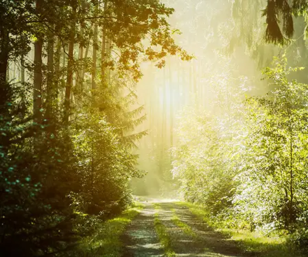 Mystic Avenue Retreats Outside Sun Shining