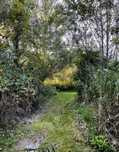 Mystic Avenue Retreat-03