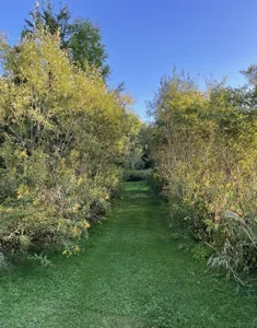 Mystic Avenue Retreat 06