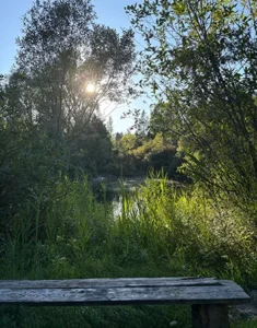 Mystic Avenue Retreat Centre 01