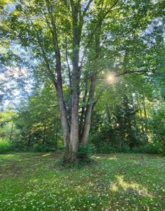 Mystic Avenue Retreat Centre 02