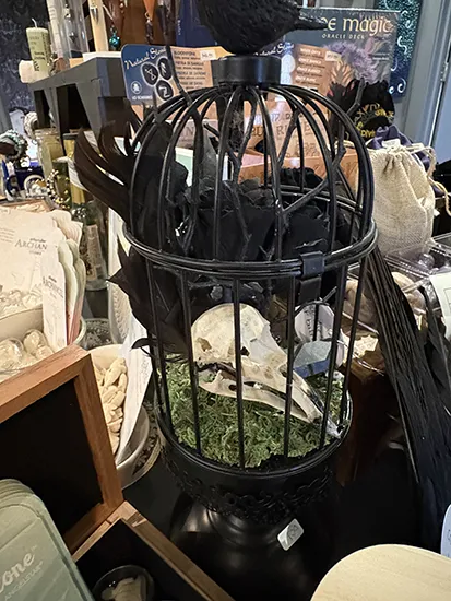 Mystic Avenue Store 04